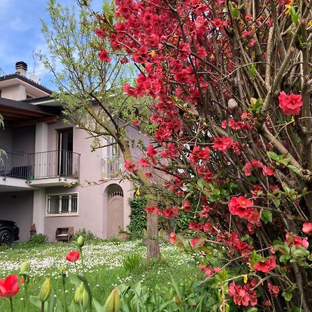 Al Clisi Graziosa Mansarda Lägenhet Villanuova sul clisi Exteriör bild